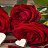 Denis, - -  9  2021