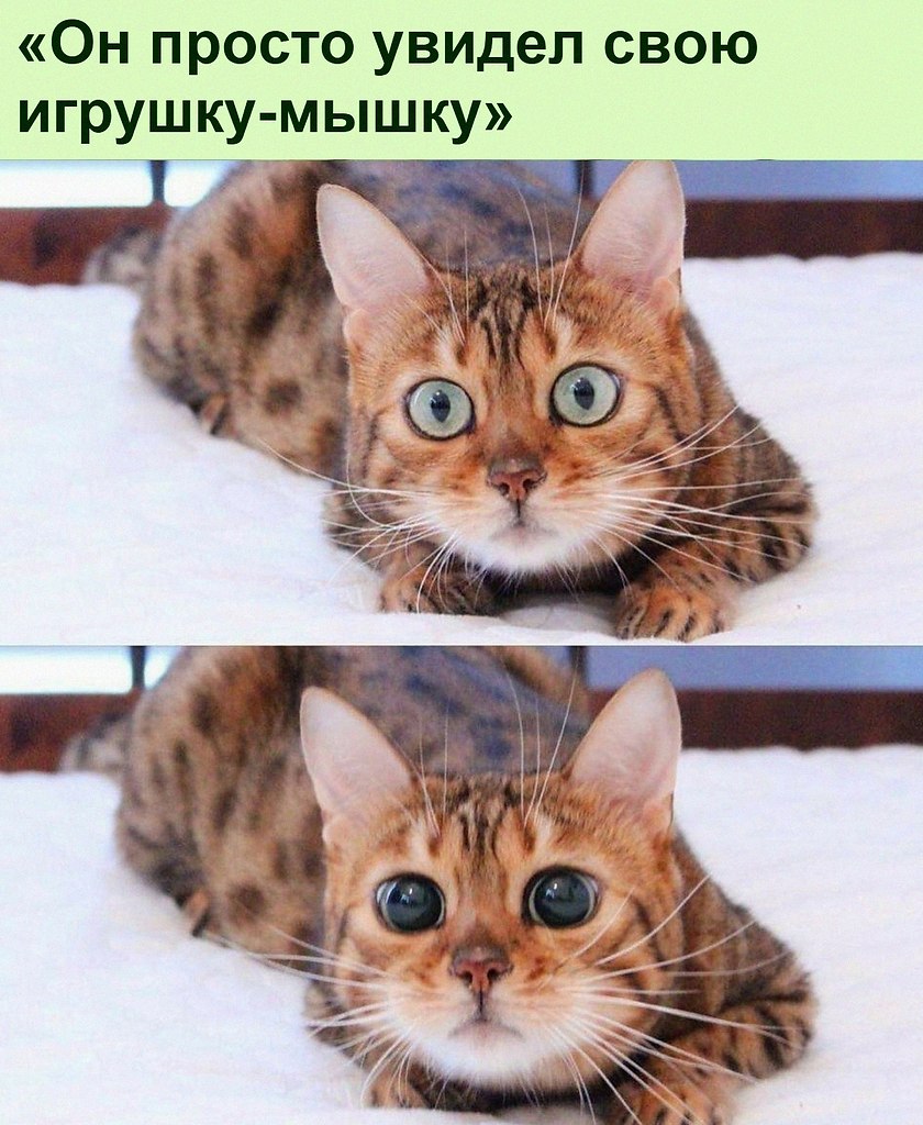   :D - 12  2021  15:35