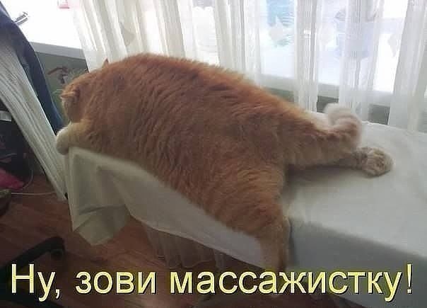    - 18  2021  21:32