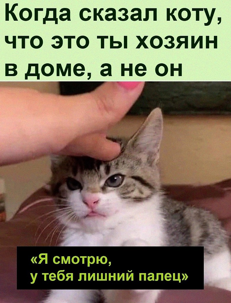   :D - 20  2022  16:51