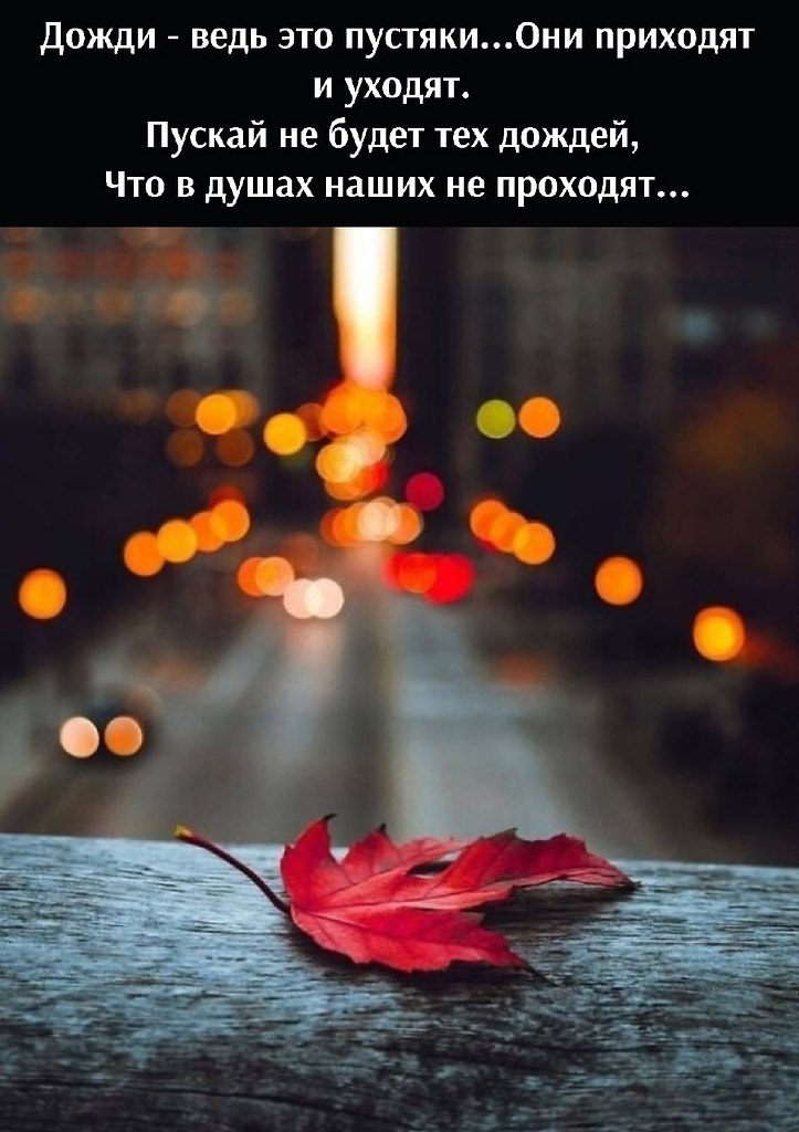   - 25  2021  18:25