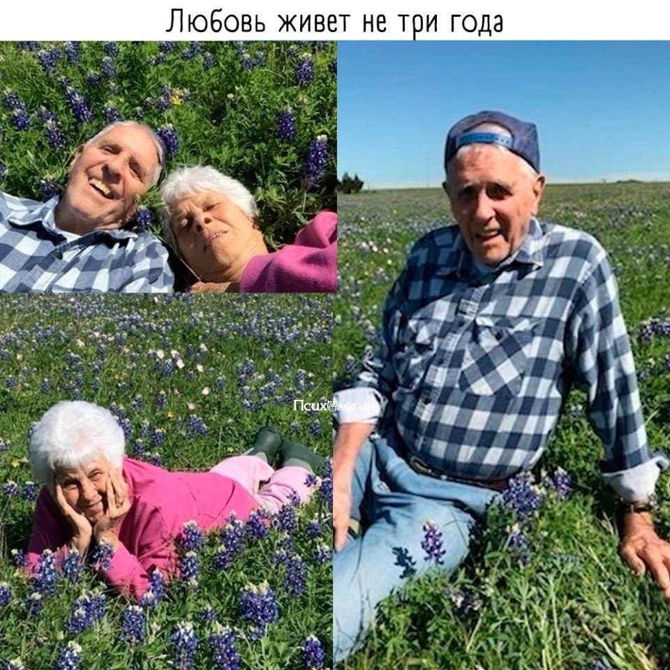      - ,   !