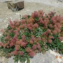 ���� ����, �����������, 58 ��� - ��������� 25 ���� 2021 � ������ ���� ����������