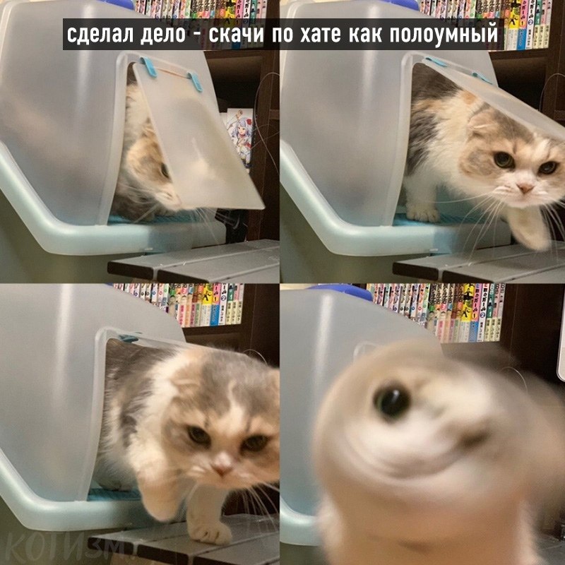   - 4