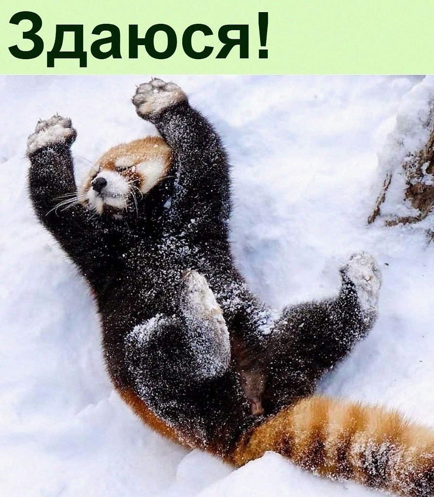   :D - 20  2021  14:33