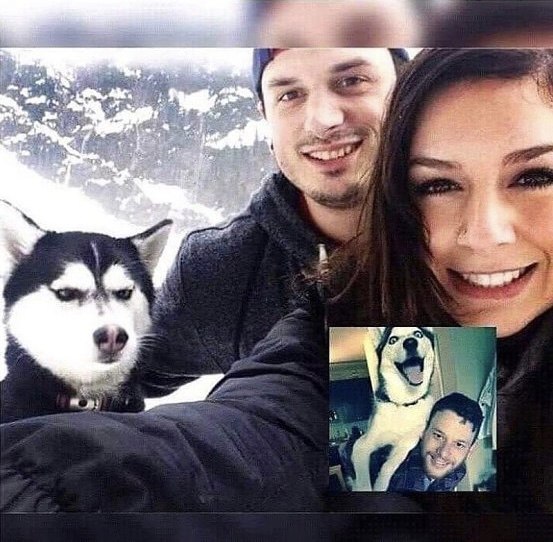   -   .