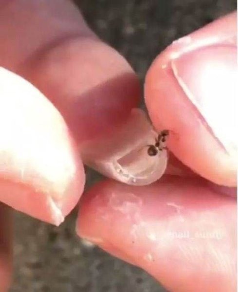 Вот что то не могу понять, это летний новый маникюр что ли - 2