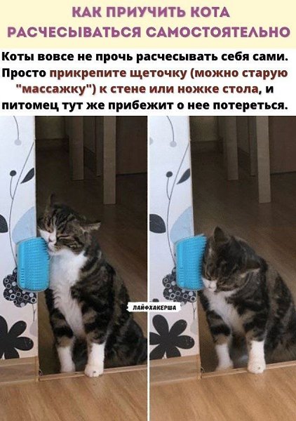 ,  ! ?