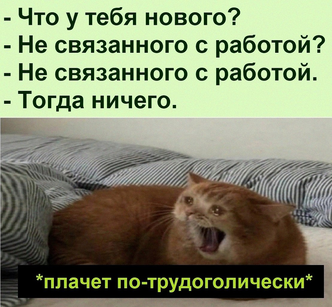   :D - 14  2021  10:39
