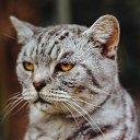 ���� ����, ����, 37 ��� - ��������� 17 ���� 2021 � ������ ���� ����������