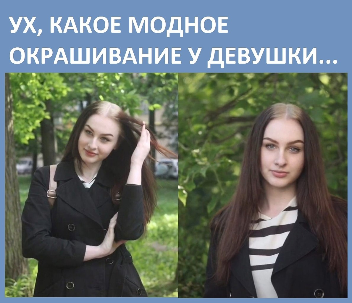   .   :    ,       ...