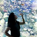 🤗 �� ������� ���� ����������