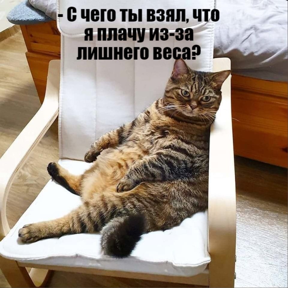       - 14  2021  14:30 - 3