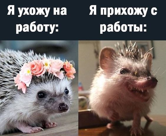 Olga - 22  2021  10:36