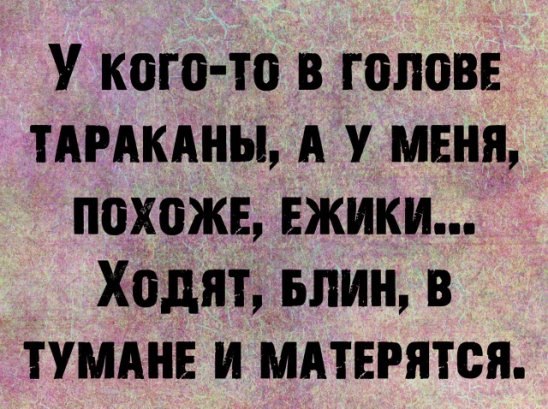  - 14  2021  11:37