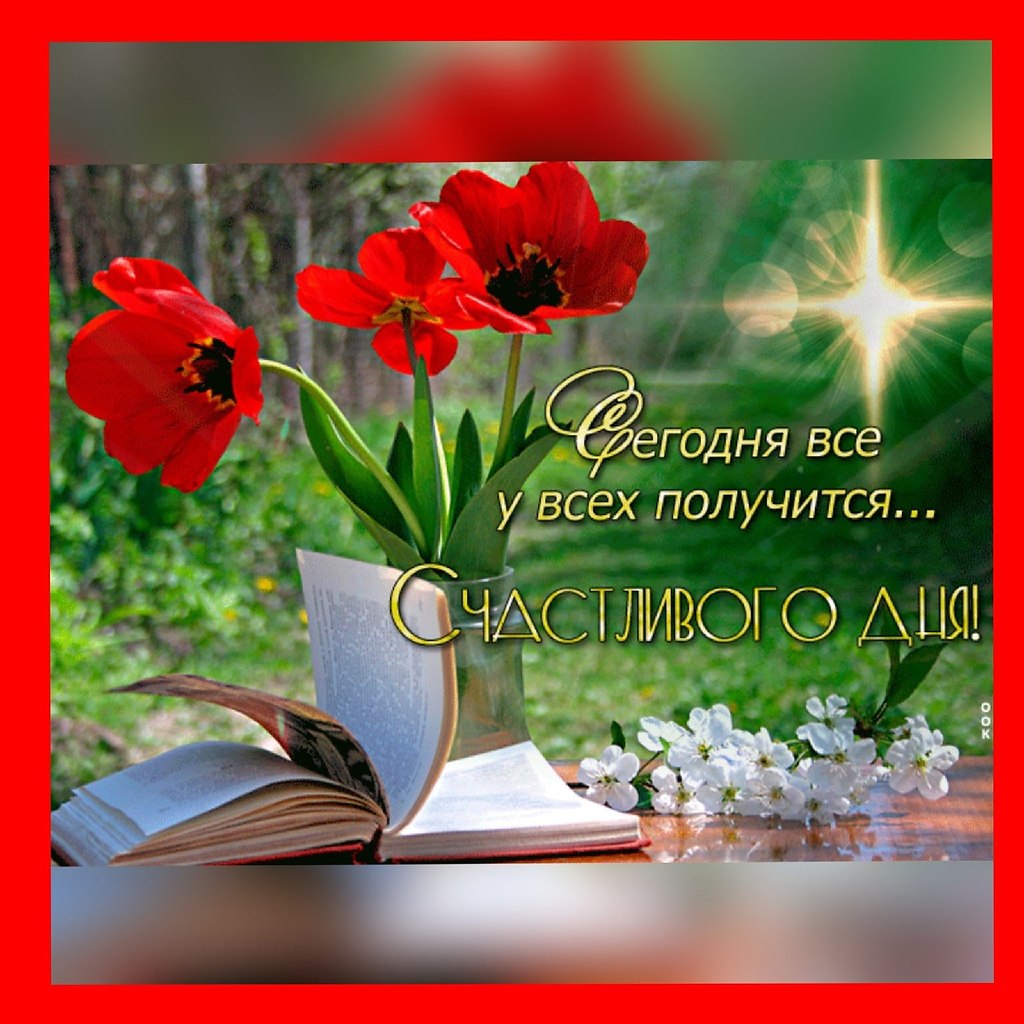   ,    . - 28  2021  12:34