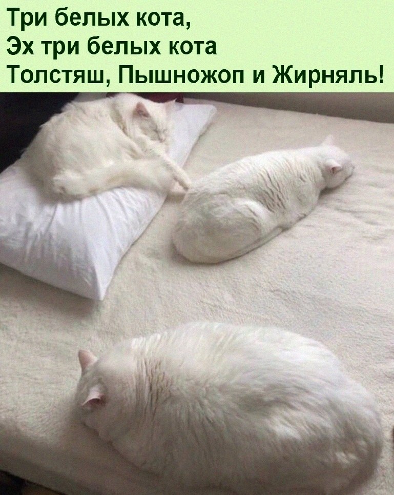   :D - 4  2021  10:23