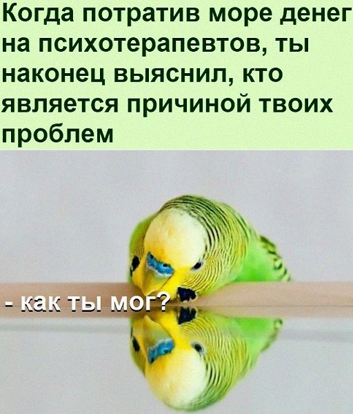   :D - 21  2021  22:17
