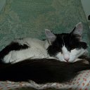 ���� Sergey, ����-�����������, 49 ��� - ��������� 21 ���� 2021 � ������ ���� ����������