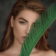 �����, 24 ����, �����������