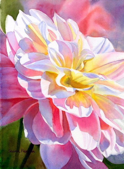   Sharon Freeman - 8
