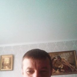 �������, ���������, 46 ���