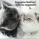 ���� ����������, ������ - ��������� 23 ������� 2021 � ������ ������ ��������