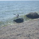 ���� ����, ����, 64 ���� - ��������� 10 ������� 2021 � ������ ���� ����������