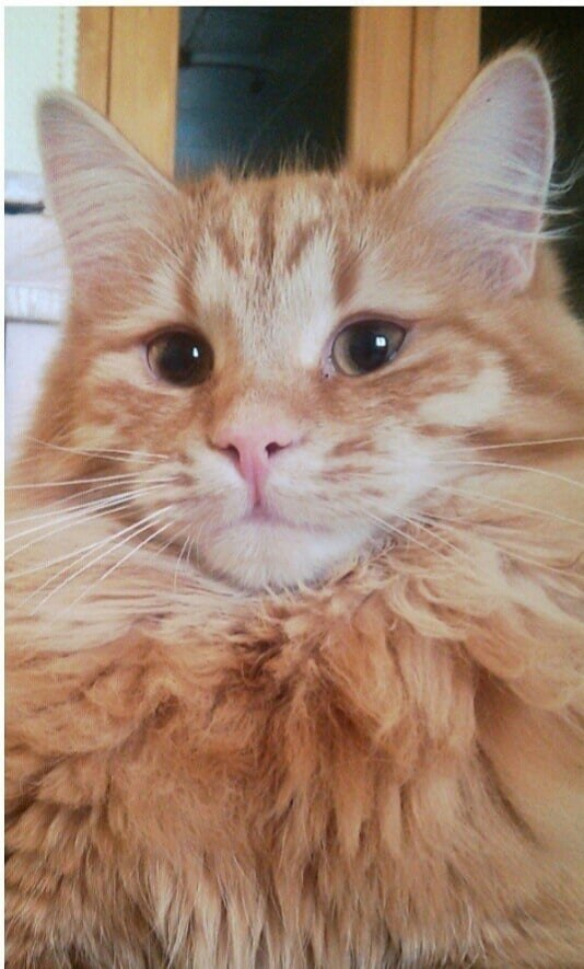 ��� ���� � ����� �� �� - 12 ��� 2021 � 20:14 - 3