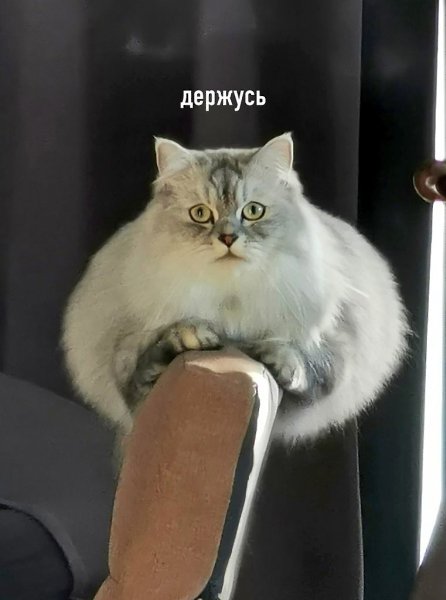  - ,     - 2
