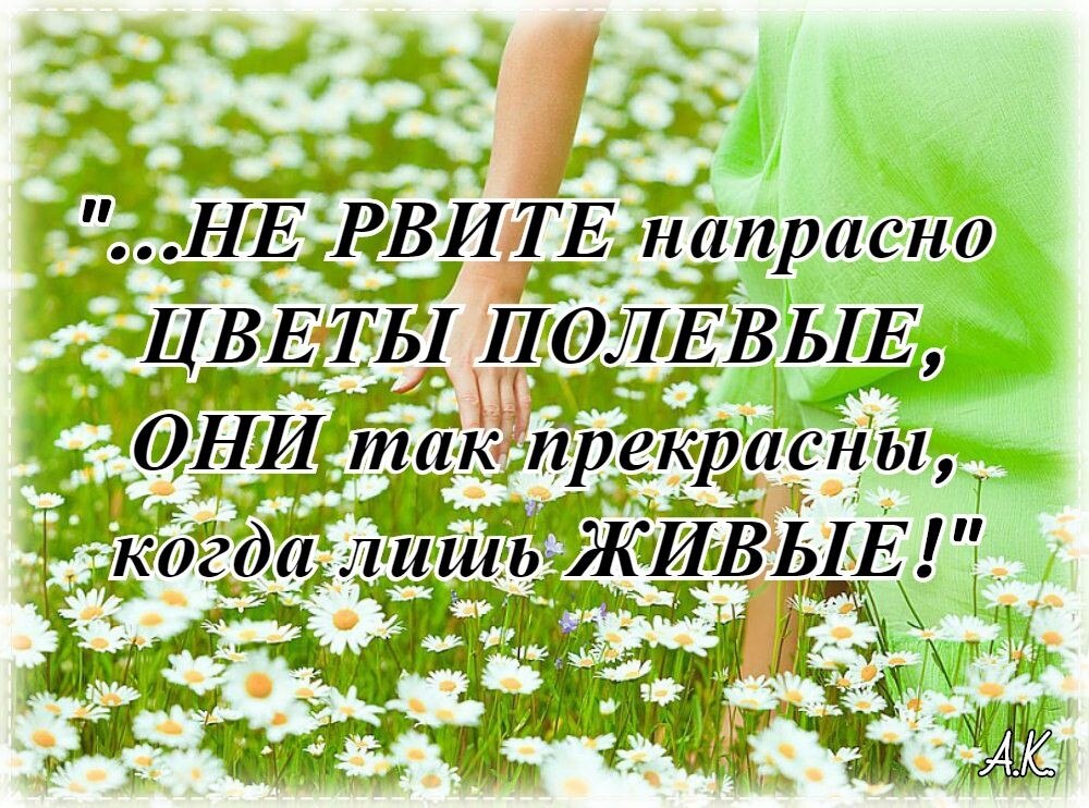  - 26  2021  17:43