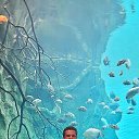 ���� �����, ���������, 44 ���� - ��������� 4 ��� 2022