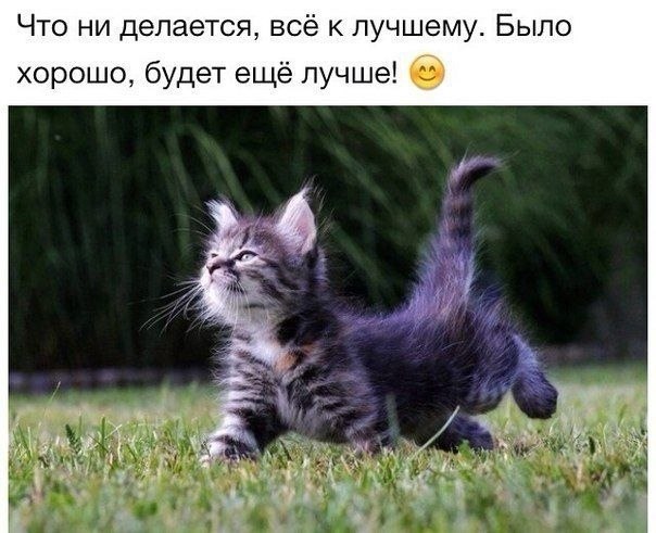    - 29  2022  00:15