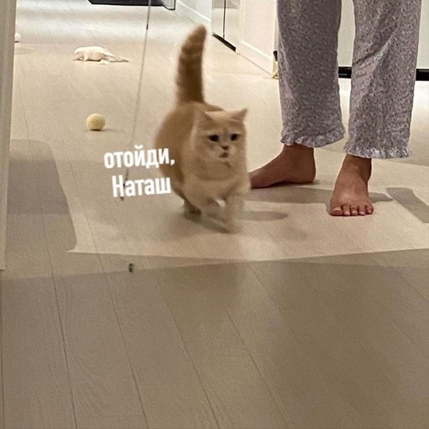 3 ���� ���� ����� ����� ��������� ������� - 2