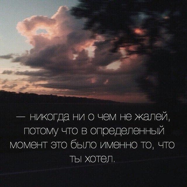    - 8  2022  04:51