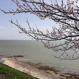 �������, ������-��-����, 68 ���