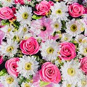 ���� ��������, ������ - ��������� 1 ������� 2023 � ������ ���� ����������