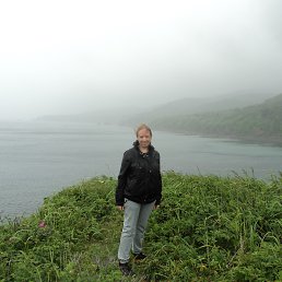 ���� �����, ����-��������� - ��������� 17 ���� 2022