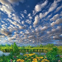 ��, ������, 31 ���