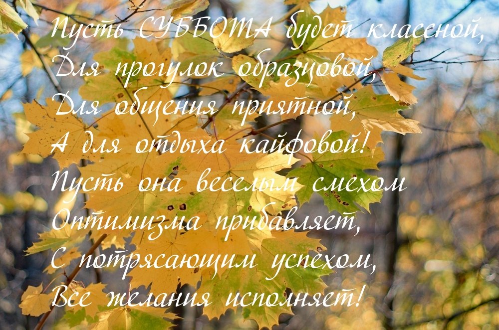   ,    . - 28  2022  20:52
