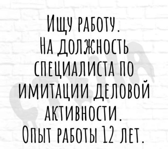   ! - 2  2022  07:41