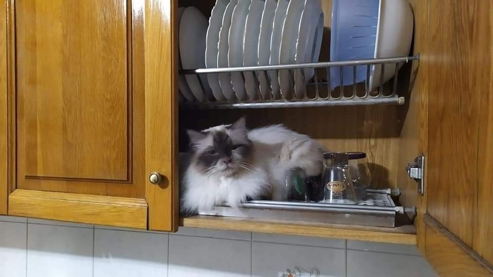 ,    ))) - 3