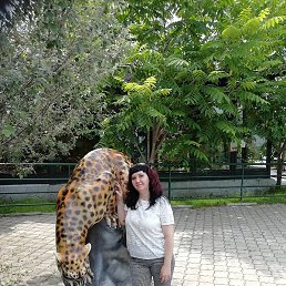 , , 49 