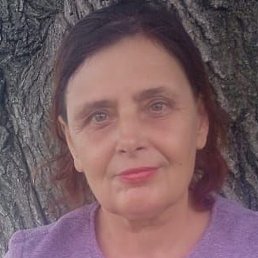 , , 29 