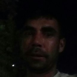 , , 38 