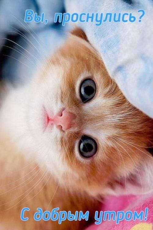 :)
