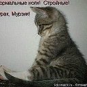 ���� Myrzik8002, ����, 43 ���� - ��������� 12 ������ 2022 � ������ ���� ����������