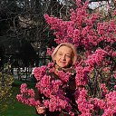 ���� �������, ����, 54 ���� - ��������� 16 �������� 2022 � ������ ���� ����������