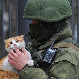 ���� �������, ���������, 38 ��� - ��������� 15 ������ 2023