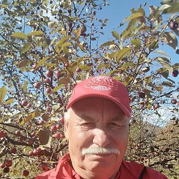 ���������, ������, 75 ���